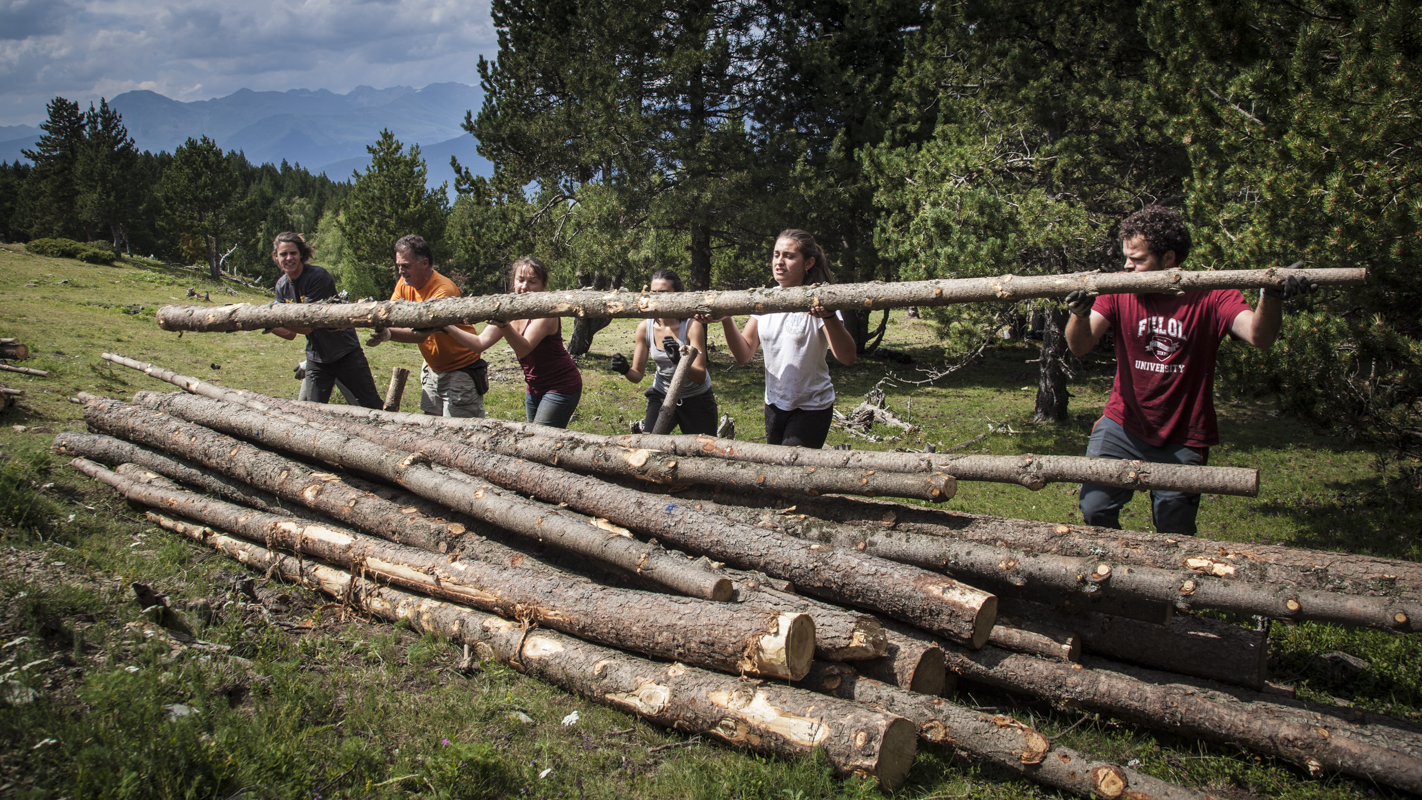 Participants de Projecte Boscos de Muntanya | Cedida