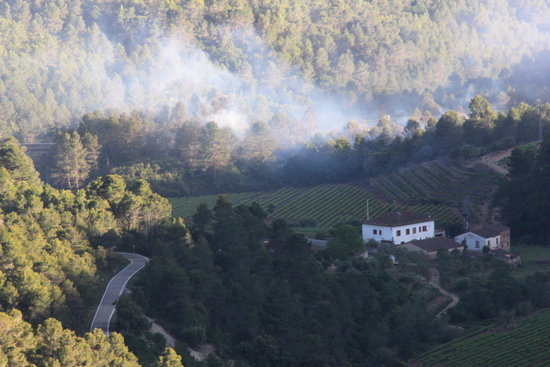 Incendi forestal de Pradell de la Teixeta | ACN