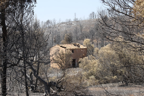 Un edifici abandonat amb els efectes de l'incendi de la Ribera d'Ebre al fons entre la Palma i Vinebre | ACN