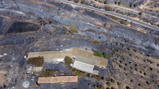 Imatge aèria captada amb dron de l'incendi de la Ribera d'Ebre a la zona situada entre la Palma d'Ebre i Flix on es pot veure una granja de bestiar afectada pel foc | ACN